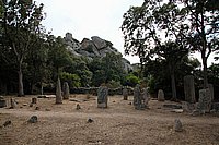Sartenais, im Menhirwald von Cicali 2.JPG